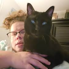 These two babies got out last night from phantom trail. If you see them  message me please or my husband Jeremy Brenner . The black cat (boy) is  Gabriel and the torti