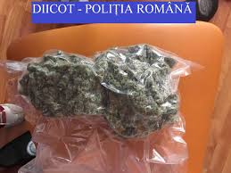 Actiune fulger a politistilor de la crima organizata si a procurorilor diicot in timisoara. Doi Suceveni CercetaÈi Pentru Trafic Èi Consum De Droguri De Risc Èi Mare Risc