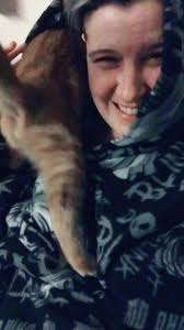 Evan Benson Cat Video