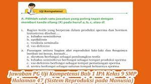 Berikut ini adalah pembahasan dan kunci jawaban ips kelas 9 halaman 83, 84. Jawaban Pg Uji Kompetensi Bab 1 Ipa Kelas 9 Smp Halaman 47 Youtube