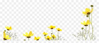 I've tried experimenting with several blending modes but keep missing the mark. Free Flower Photo Overlay Photoshop Overlays From Photoshop Overlay Images Png Transparent Png Vhv