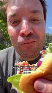 When You Use The Indirect Heat Plate in Greenegg Ham