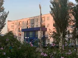 Дикая зоря, растение ptarmica vulgaris, гулявица, кровавник, чихотная. Baza Otdyha Zorya V Koblevo