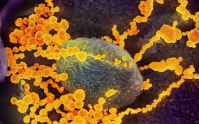 What Are The Top Treatments For Covid 19 Cedars Sinai