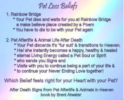 May your blessing be upon this cat/dog and in your steadfast kindness. Prayer For Loss Of A Pet Prayever