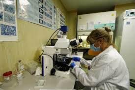 El virus es un parásito intracelular obligatorio, de pequeño tamaño, constituido por ácido nucleico y proteína, el el proceso de replicación viral puede tardar horas como días, todo depende del virus. Il Virus Non E Piu Debole Lo Ammettono Anche I Virologi Ottimisti Il Manifesto