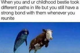 50 Memes You Could Only Laugh At With Your Best Friend