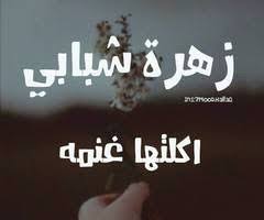 حقييييقة Funny Arabic Quotes Funny Quotes Cool Words