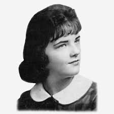 Is Nikki Austin a scammer or troll