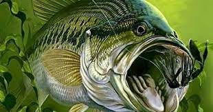 Happy Birthday Fish Bass Fishing Tattoo Largemouth Bass Fishing