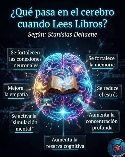 Tú, tienes el hábito de leer? ¡Leer cambia tu cerebro! Esto descubrió la neurociencia acerca de la lectura. Toda la información en UNAM Global.