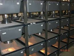 Lizard Racks Reptile Room Snake Cages Reptile Enclosure