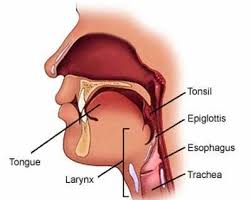 heimlich heroes what happens to your body when you choke what happens to your body when you choke