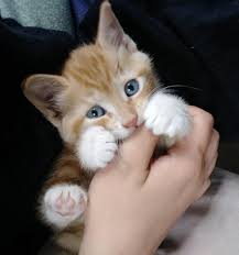 My Mother S Day Present I Love Her Already Via Aww On May 12 2018 At 11 27am Hayvanlar