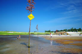 low tide at rock harbor orleans cape cod see the clam