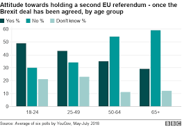 how young and old would vote on brexit now bbc news