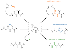 azoline biosynthesis - mitchell lab @ uiuc