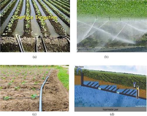 Agricultural Drainage Systems in Irrigated Ecologies | IntechOpen