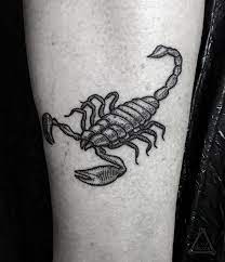 Scorpion Tattoo Linework Darkartists Animal Tattoos Tattoos Line Work Tattoo Scorpion Tattoo