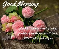 Maybe you would like to learn more about one of these? 120 Best Good Morning Sunday Images Wishes And Greetings