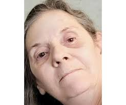 Diane D. Boocock Obituary (2023)