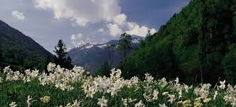 Andorra is a small, mountainous country in western europe, located up in the pyrenees between france and spain. Visitandorra Die Offizielle Tourismus Website Von Andorra