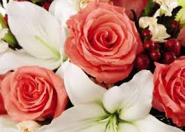 We deliver flowers and balloons daily to: Learn About The Best Stamford Florist Florist Express Of Stamford