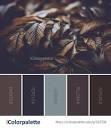 Create, Inspire and Share awesome color schemes | iColorpalette