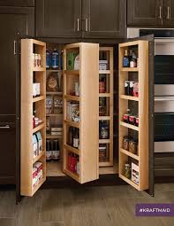 storage pantry contemporary kitchen