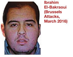 PDF) Understanding the Rising Cult of the Suicide Bomber