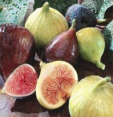 Stannum) and atomic number 50. Buah Tin Sebagai Makanan Dan Obat Ù…ÙˆØ³ÙˆØ¹Ø© Ø§Ù„ÙƒØ­ÙŠÙ„ Ù„Ù„Ø§Ø¹Ø¬Ø§Ø² Ø§Ù„Ø¹Ù„Ù…ÙŠ