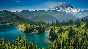 Fonds D Ecran 1920x1080 Usa Parc Lac Montagnes Forets Photographie De Paysage Lake Eunice Parc Mont Rainier Picea N Paysage Lac Photographie De Paysage Paysage