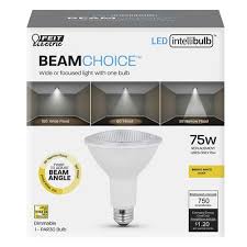 Feit Electric 75w Equivalent Par30 Bright White Dimmable Led Light Bulb At Menards