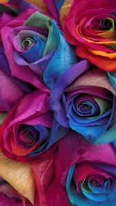 Search, discover and share your favorite rainbow flowers gifs. 1001 Ideas For A Colorful And Cute Rainbow Wallpaper