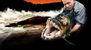 It featured the sixgill shark, greenland shark, needlefish, goonch catfish, papuan black bass, and sareng catfish as primary suspects. Watch River Monsters Prime Video