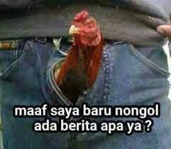 Sketsa gambar hewan ayam gambar pedia via gambarpedia.org. 16 Ide Nenek Gambar Lucu Lucu Meme Lucu