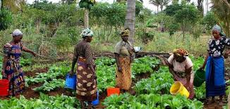 من أتى حائضاً أو امرأة في دبرها أو كاهناً ‏فصدقه، فقد برئ مما أنزل على محمد صلى الله عليه وسلم. Ø¨Ø­Ø« Ø¹Ù† Ø¯ÙˆÙ„Ø© ØªÙ†Ø²Ø§Ù†ÙŠØ§ Ù…ÙˆØ¶ÙˆØ¹