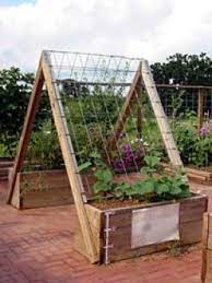 Frugal Storage Ideas For Small Homes Creative Unique Organization Methods Vertical Vegetable Gardens Backyard Vegetable Gardens Vegetable Garden Design