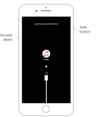 If You Forgot The Passcode For Your Iphone Ipad Or Ipod Touch Or Your Device Is Disabled Ipod Touch Iphone Ipad