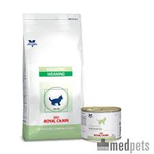 Recovery texture makes it easier to use for periodic syringe feeding and tube feeding. Royal Canin Recovery Bestellen Genesung Von Krankheit Oder Operation