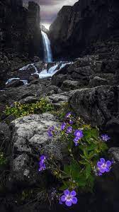 Waterfall Flowers Nature Purple Flowers River Rocks Water Hd Mobile Wallpaper Peakpx