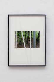 Bildergebnis für Dorit Margreiter