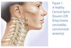 3d interactive tutorials on the anatomy of the neck, including the anatomical organisation, musculature, larynx, pharynx, blood supply and innervation. National Spine Health Foundation Back Pain Neck Pain Surgery