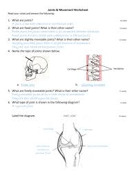 Free labeling of body movements : Joints Movement Worksheet
