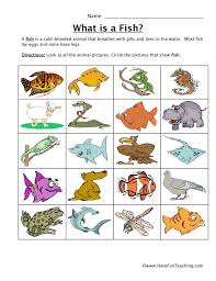 Monkey around primate research project. Fish Classification Worksheet Have Fun Teaching Animal Classification Worksheet Animal Worksheets Have Fun Teaching