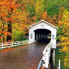 Pin On Fall