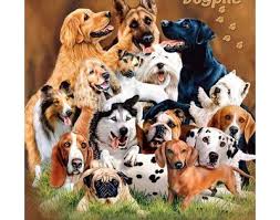 East Urban Home Dog Pile Mink Blanket Dogs Animals Dog Art