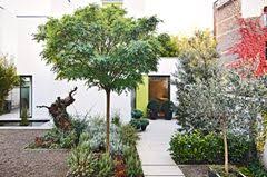 We did not find results for: Gartenplaner Kostenlos Online Kaufversionen Schoner Wohnen