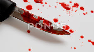 Drawing watercolor, rose flower and a knife in the blood. Knife With Blood Stock Footage Royalty Free Stock Videos Pond5