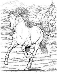 Mustang horse coloring pages many interesting cliparts. Beautiful Wild Horse Coloring Pages Novocom Top